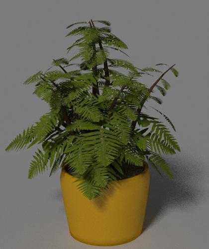 small plant in a vase  \  ????????? ???????? ? ???? preview image